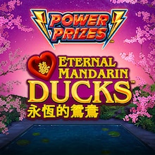 Eternal Mandarin Ducks™
