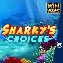 Sharky’s Choices