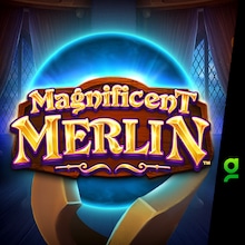 Magnificent Merlin