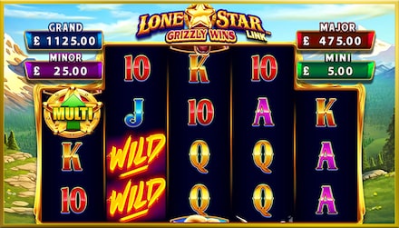 Lone Star Link: Grizzly Wins screenshot