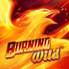 Burning WILD™