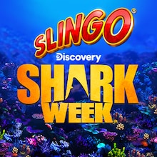 Slingo Shark Week