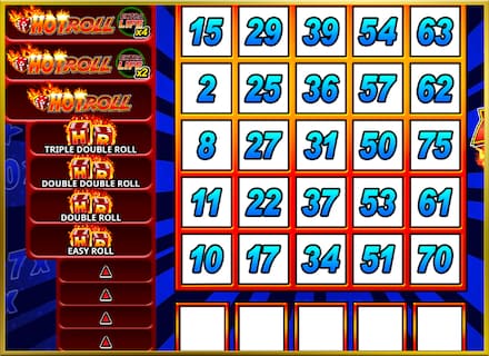 Slingo Hot Roll screenshot