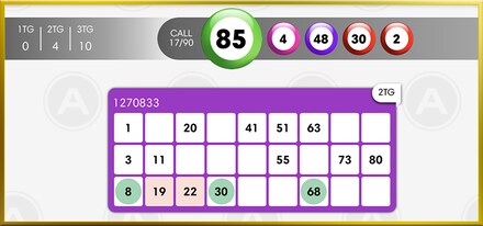 90 Ball Bingo screenshot
