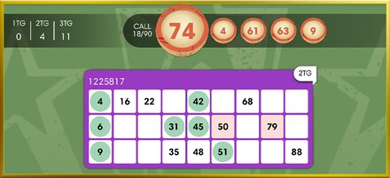 Speed Bingo screenshot