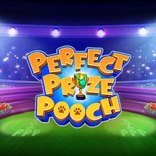 Perfect Prize Pooch