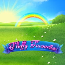 Fluffy Favourites