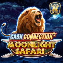 Cash Connection   Moonlight Safari