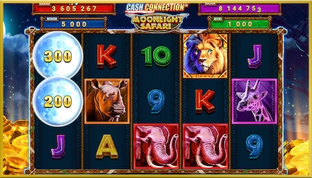 Cash Connection Moonlight Safari screenshot