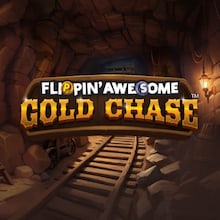 Flippin' Awesome Gold Chase