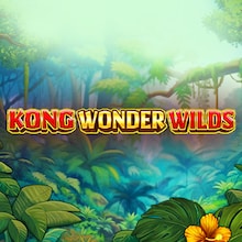 Kong Wonder Wilds