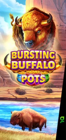 Bursting Buffalo Pots