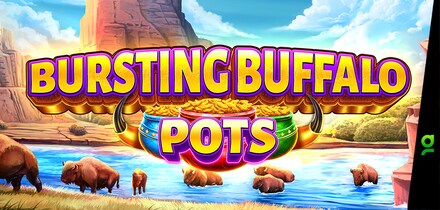 Bursting Buffalo Pots