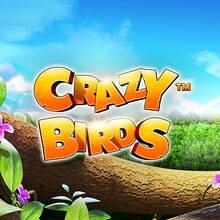 Bird slots Bird slots